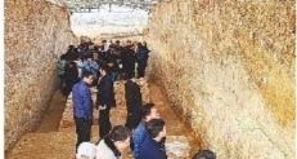 系列考古新发现为探讨中华文明起源提供关键样本